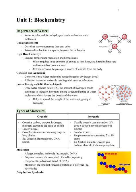 Glucose and starch B. . Biochemistry unit test grade 12